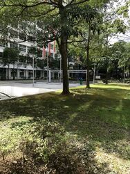 Blk 275A Compassvale Link (Sengkang), HDB 4 Rooms #579126501